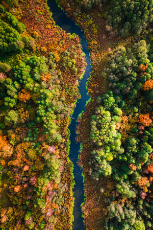 River and autumn swamps. Aerial view of wildlife in Poland.の写真素材