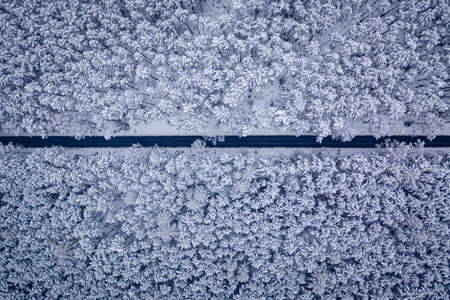 Long road straight through snowy forest in winter, Poland