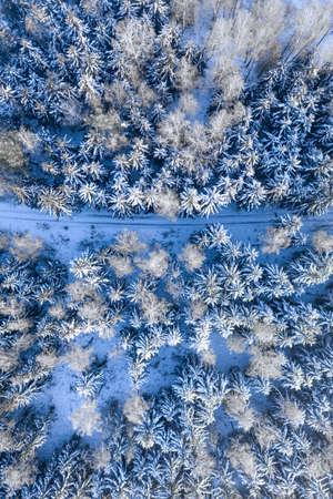 Road in snowy forest. Transportation in winter. Aerial view of Poland nature, Europe
