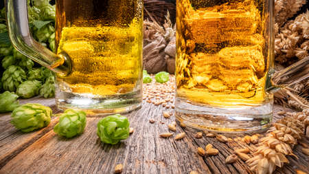 Closeup of two mugs of cold beer. Hop and malt as ingredients for beer.の写真素材