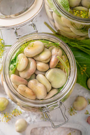 Homemade pickled broad bean with garlic, horseradish and dill. Pickling broad bean at home.