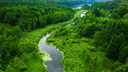 Green algae on lake and river. Aerial view of nature in Poland