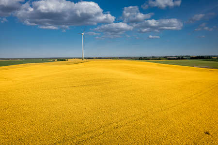 Amazing wind turbine and field of rapeseed. Poland agriculture. Aerial view of nature at spring in Europe.の写真素材
