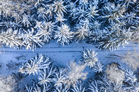 Country road in the snowy forest. Transportation in winter. Aerial view of Poland nature, Europeの写真素材