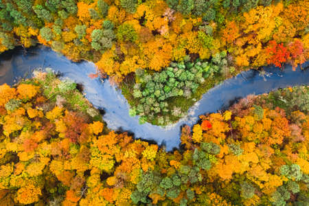 Colorful forest and river. Aerial view of wildlife in autumn. Autumn in Polandの写真素材