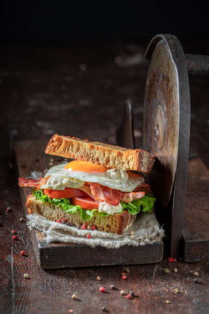 Tasty and homemade toasted sandwich with egg, bacon and vegetables. British breakfast.の写真素材