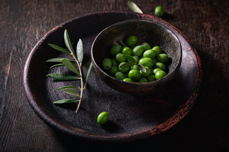 Green raw olives freshly picked from a grove. Freshly picked green olives.の写真素材