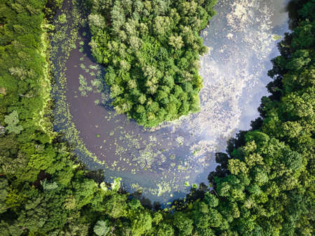 Curvy river and forests. Wildlife in Poland. Aerial view of natureの写真素材