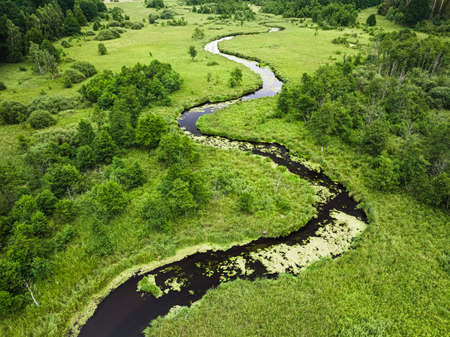 Small river and swamps in summer, aerial view of nature in Polandの写真素材