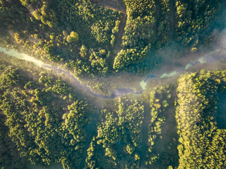 Aerial view of foggy valley at sunrise in autumn. Aerial view of wildlife in Poland.の写真素材
