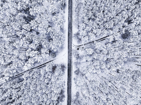 Flying above asphalt road and white forest in winter, Poland. Snowy winter in nature.の写真素材