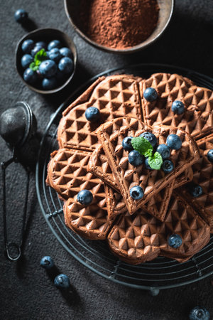 Delicious and sweet dark waffles with chocolate and berry fruits. Ingredients for good cocoa waffles.の写真素材