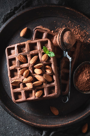 Tasty and fresh waffles made of cocoa and almonds. Ingredients for good dark waffles.の写真素材