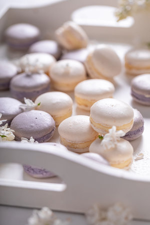 Gorgeous and delicious macaroons flavored elderberry. Concept for gift card. Summer dessert composition.の写真素材