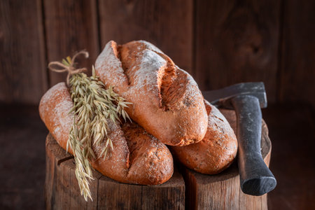 Fresh lumberjack bread with ears and grains. Woodcutter breads in countryside.の写真素材