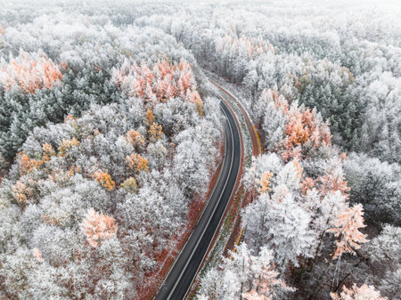 Car driving on asphalt road through frozen forest with rime in winter, Poland. Wildlife in winter Poland, Europe.の写真素材