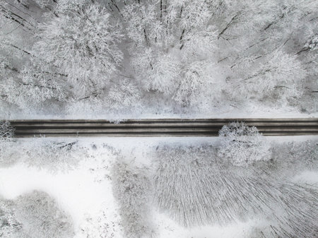 Frozen forest after snow blizzard in Poland in Poland. Nature in winter Poland, Europe.の写真素材