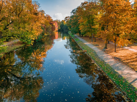 Multicolored forest by river at autumn, Bydgoszcz. Polish golden autumn in nature.の写真素材