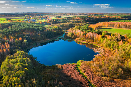 Small lake and forest in autumn, aerial view of Poland, Europeの写真素材