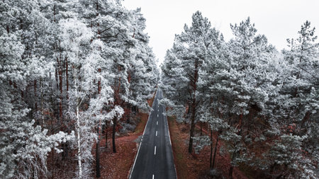 White forest with rime and dark road in winter, Poland. Wildlife in winter Poland, Europe.の写真素材