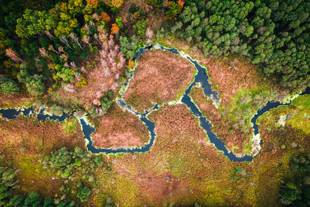 Swamps and river in autumn, aerial view of Poland, Europe