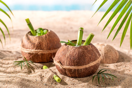 Fresh and tasty pinacolada in coconut served on beach. Holidays on a paradise beach.の写真素材