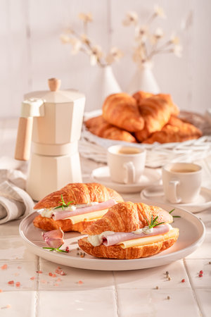 Homemade and hot french croissant made in the kitchen. Croissants with spring and healthy ingredients.の写真素材