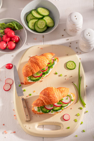 Tasty and hot french croissant with radish and cottage cheese. Croissants as fresh sandwich with vegetables.の写真素材