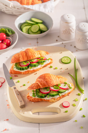 Healthy and homemade french croissant with cottage cheese and cucumber. Croissants with spring and healthy ingredients.の写真素材