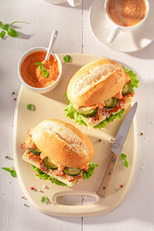 Homemade and delicious sandwich with gyros chicken and cheese. Sandwich with gyros chicken and cheese.の写真素材