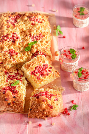 Tasty red currant yeast cake made of sugar and fruits. Yeast cake with lemonade.の写真素材
