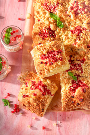 Tasty red currant yeast cake made of berry fruits. Yeast cake with lemonade.の写真素材
