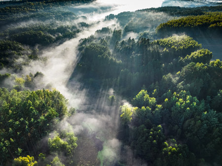 Aerial view of mist in valley at sunrise in autumn. Wildlife in Poland.の写真素材