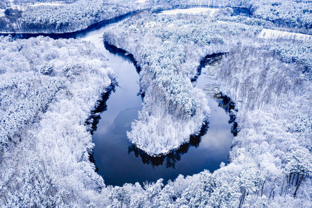 Winding river and snowy forest in winter. Aerial view of wildlife in Poland, Europe