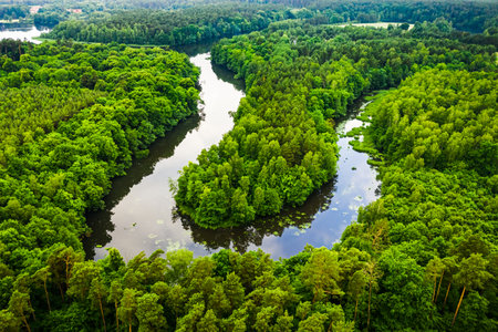 Stunning green forest and river in summer. Aerial view of wildlife in Poland, Europe