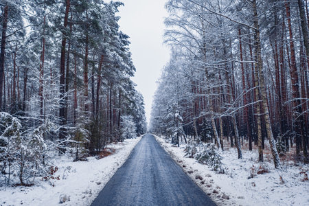 Black asphalt road in snowy winter. Transport in winter. Aerial view of nature.の写真素材