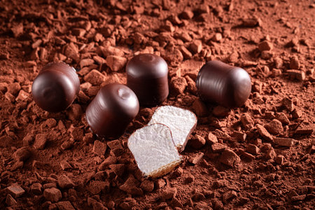 Handmade chocolate coated marshmallow on chocolate bar with cocoa powder. Chocolate coated marshmallow on cocoa background.の写真素材