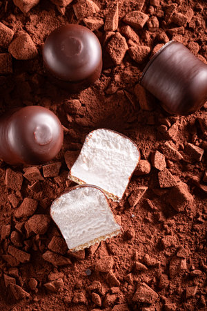 Homemade chocolate coated marshmallow on chocolate bar with cocoa powder. Chocolate coated marshmallow on cocoa background.の写真素材