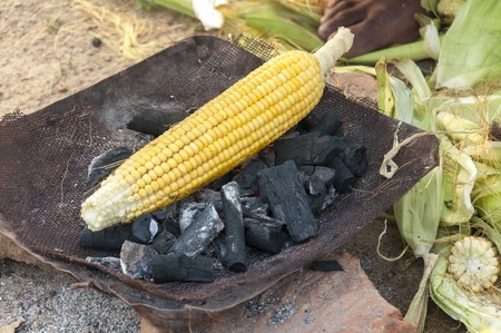 Roasted cornの写真素材