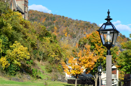 lamp and treesの写真素材