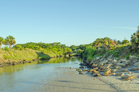 Spring at beachの写真素材