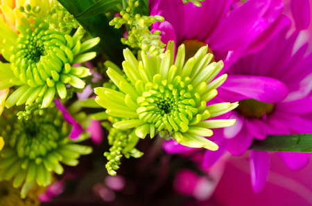 Beautiful flower arrangement. Color, summerの写真素材