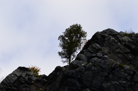 Tree at mountain with blue sky backgroundの写真素材