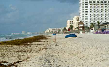 Caribbean Sea beach with sky horizon and water. Coast, sandのeditorial素材