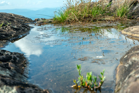 water pond in the mountainsの写真素材