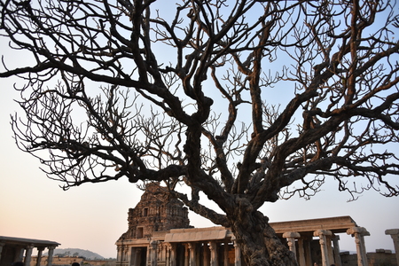 Vijay Vitalla temple, Hampi, Karnataka, Indiaの写真素材