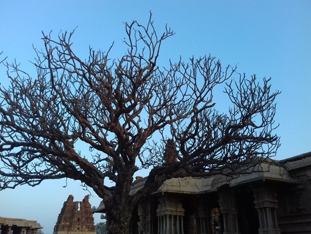 Vijay Vitalla temple, Hampi, Karnataka, Indiaの写真素材