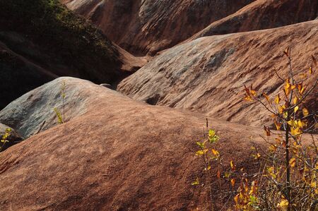Cheltenham Badlandsの写真素材