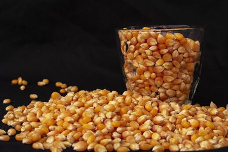 corn on the cob