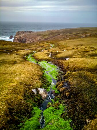 Green Creek on Brown Land down to Coastの写真素材